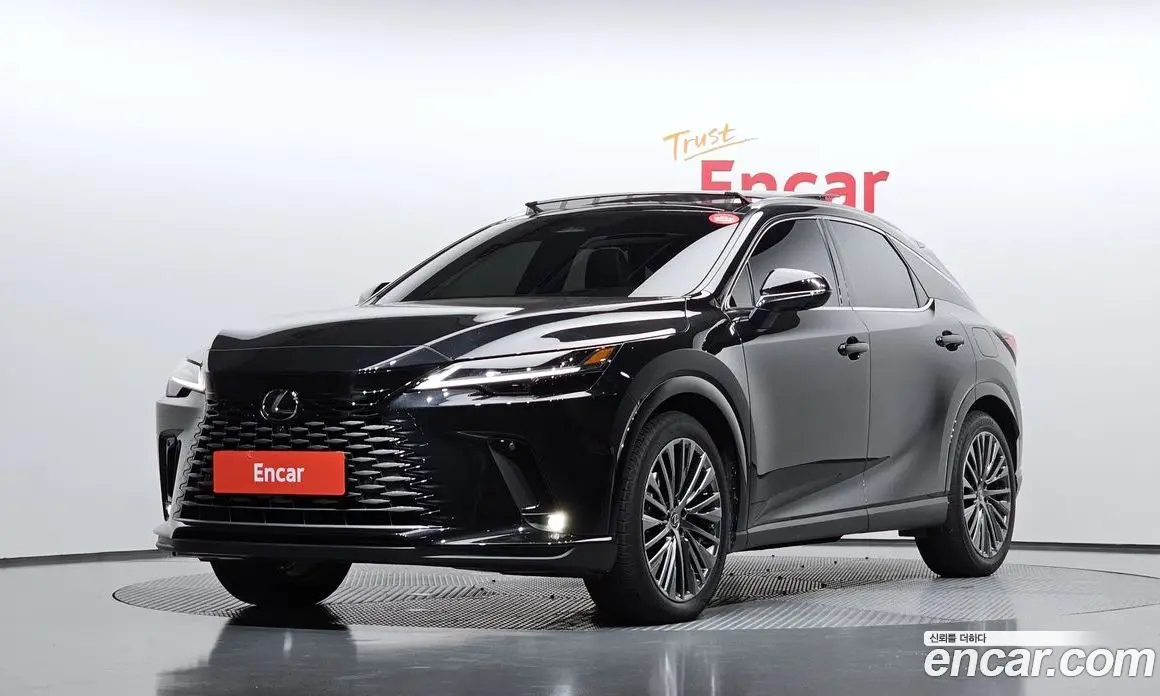 Lexus RX 2025 2.5 автомат (гидро), фото 1 Lexus RX 2025 2.5 автомат (гидро), фото 1