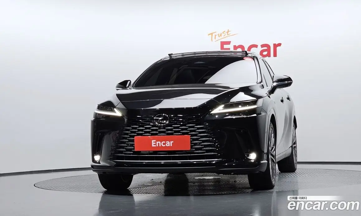 Lexus RX 2025 2.5 автомат (гидро), фото 3 Lexus RX 2025 2.5 автомат (гидро), фото 3