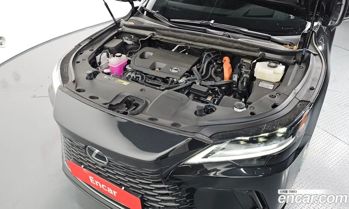 Lexus RX 2025 2.5 автомат (гидро), фото 6 Lexus RX 2025 2.5 автомат (гидро), фото 6