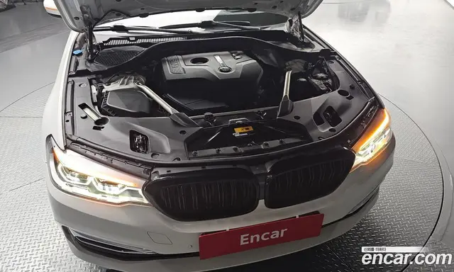 BMW 5 серия 2019 2.0 автомат (гидро), миниатюра 5