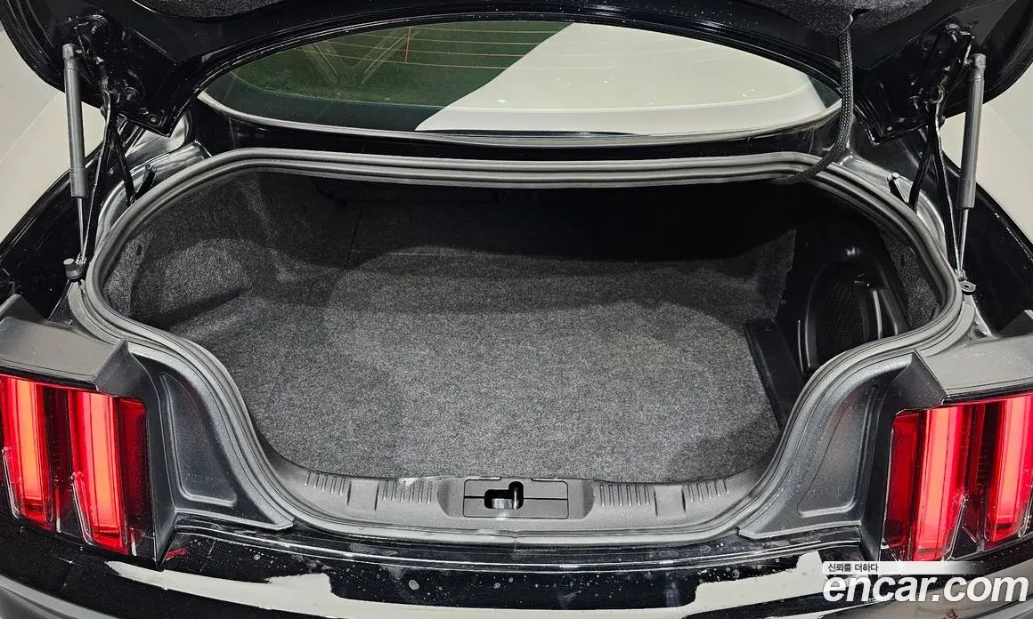 Ford Mustang 2016 2.3 автомат (гидро), фото 14 Ford Mustang 2016 2.3 автомат (гидро), фото 14