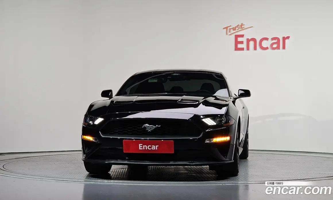 Ford Mustang 2022 2.3 автомат (гидро), фото 3 Ford Mustang 2022 2.3 автомат (гидро), фото 3