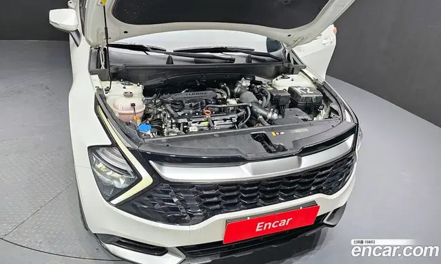 Kia Sportage 2024 1.6 автомат (гидро), миниатюра 6 Kia Sportage 2024 1.6 автомат (гидро), миниатюра 6