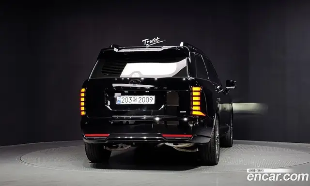Hyundai Palisade 2025 2.5 автомат (гидро), миниатюра 4