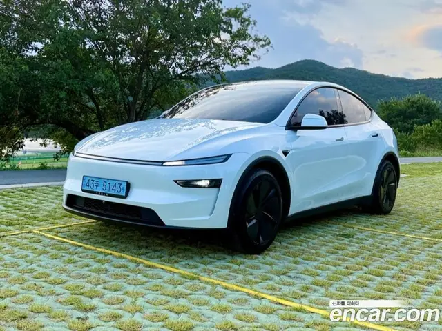 Tesla Model Y, 2025, 7 248 км