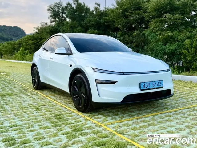 Tesla Model Y 2025 0.2 автомат (гидро), миниатюра 3 Tesla Model Y 2025 0.2 автомат (гидро), миниатюра 3