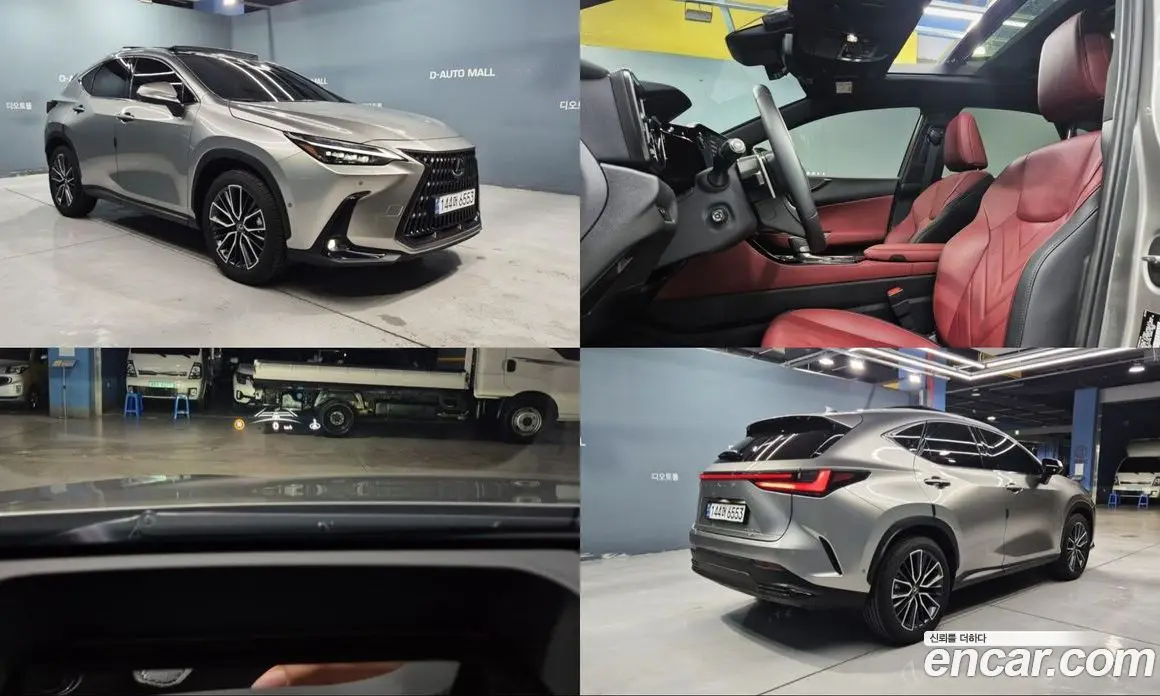 Lexus NX 2024 2.5 автомат (гидро), фото 1 Lexus NX 2024 2.5 автомат (гидро), фото 1