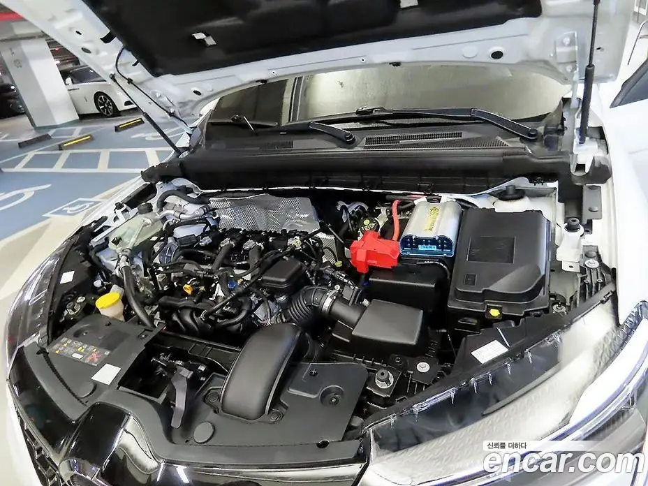 Renault (Samsung) XM3 2023 1.6 автомат (гидро), фото 19