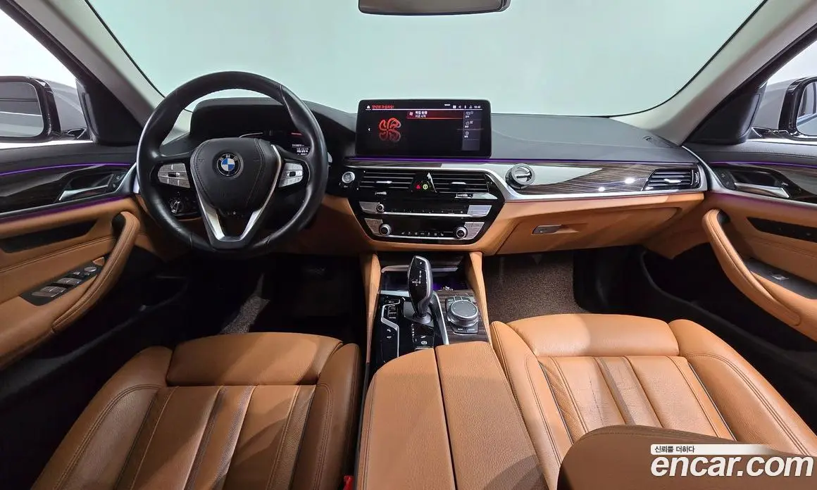 BMW 5 серия 2021 2.0 автомат (гидро), фото 10