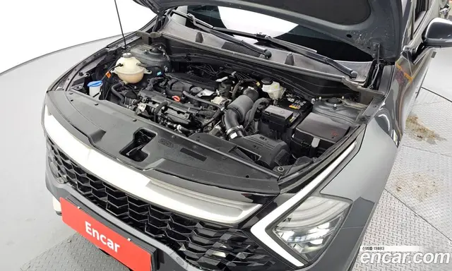 Kia Sportage 2022 1.6 автомат (гидро), миниатюра 6