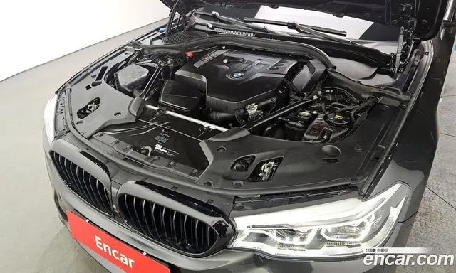 BMW 5 серия 2017 2.0 автомат (гидро), миниатюра 6