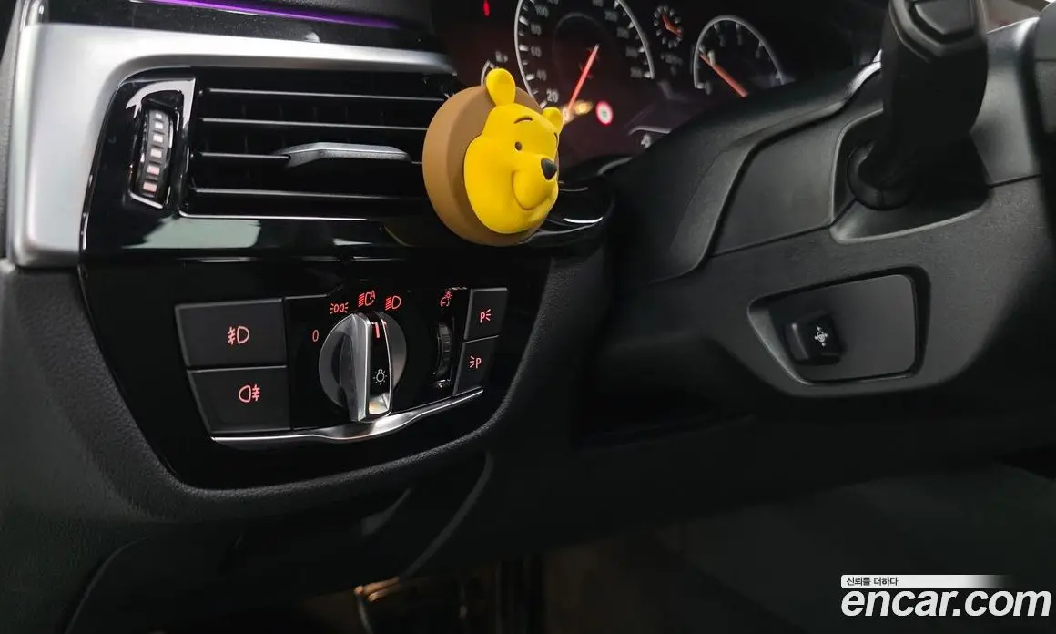 BMW 5 серия 2019 2.0 автомат (гидро), фото 20