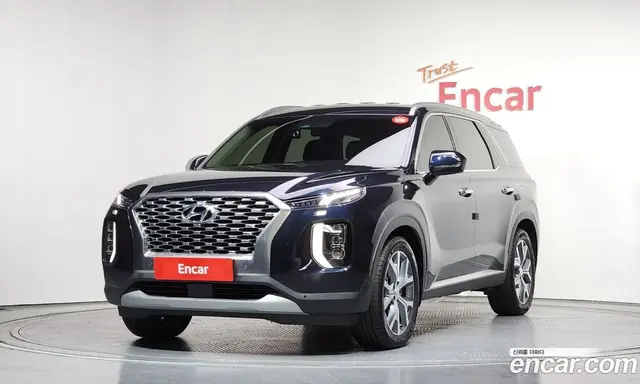 Hyundai Palisade, 2019, 46 541 км