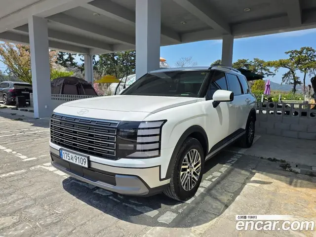 Hyundai Palisade, 2025, 9 100 км