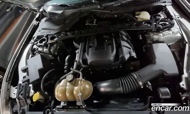 Ford Mustang 2015 2.3 автомат (гидро), миниатюра 8 Ford Mustang 2015 2.3 автомат (гидро), миниатюра 8