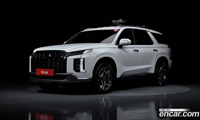 Hyundai Palisade, 2024, 46 979 км