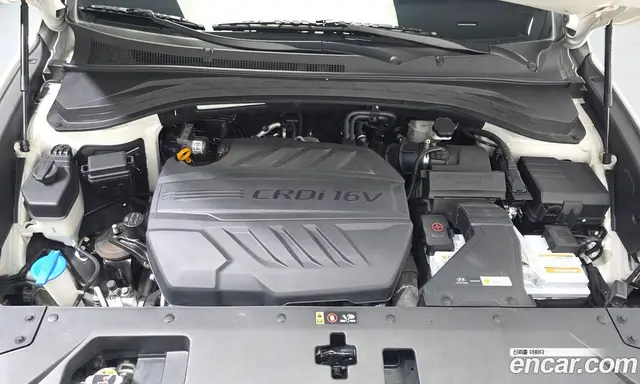 Hyundai Santa Fe 2019 2.0 автомат (гидро), миниатюра 6