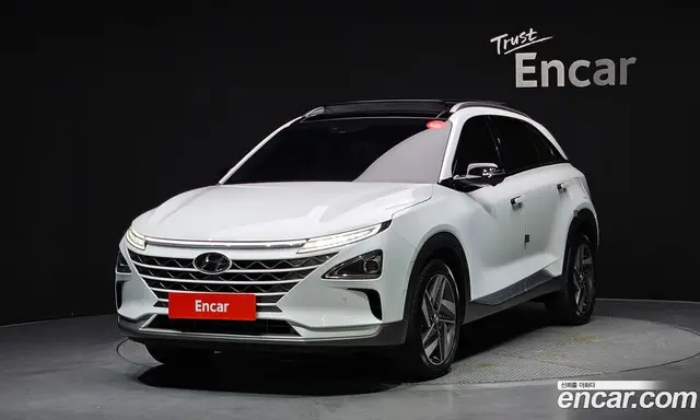 Hyundai Nexo, 2021, 18 716 км