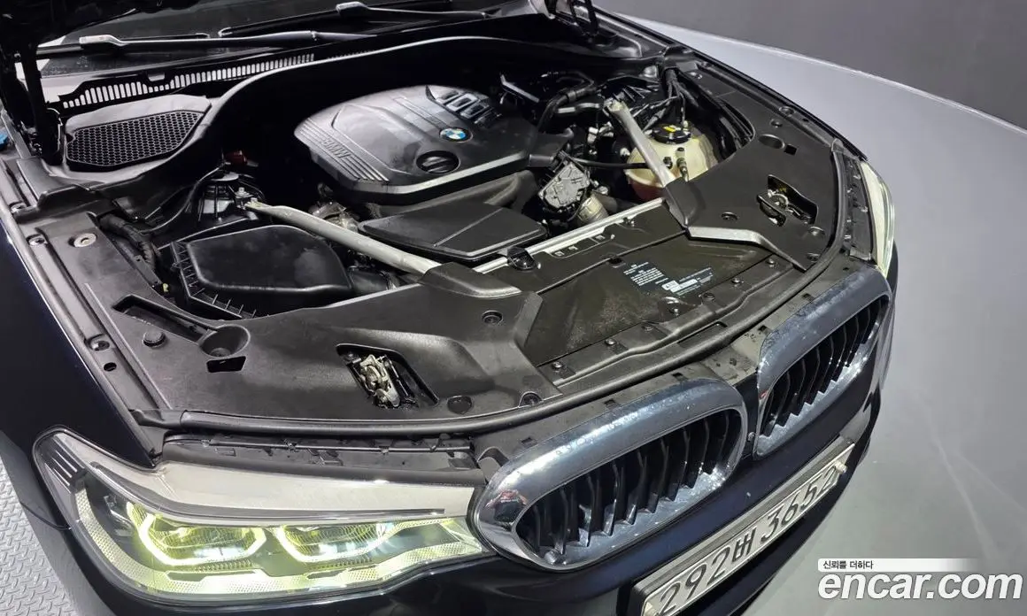 BMW 5 серия 2019 2.0 автомат (гидро), фото 6