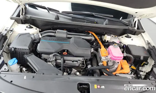 Kia Sportage 2023 1.6 автомат (гидро), миниатюра 6