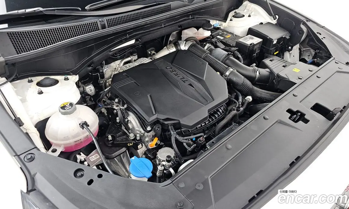 Hyundai Santa Fe 2023 2.5 автомат (гидро), фото 6