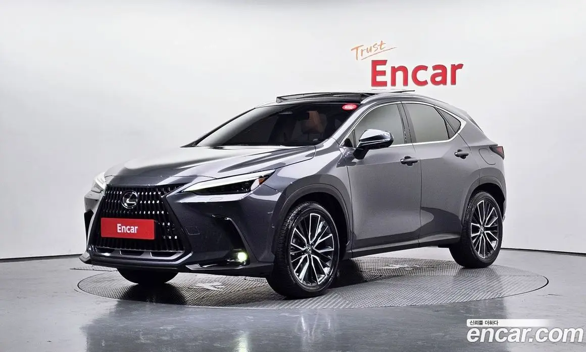 Lexus NX 2023 2.5 автомат (гидро), фото 1 Lexus NX 2023 2.5 автомат (гидро), фото 1