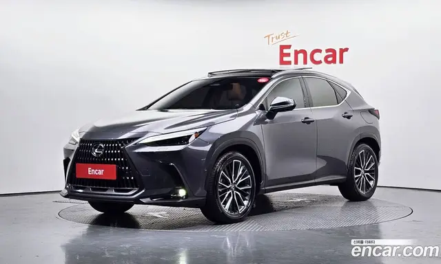 Lexus NX, 2023, 41 183 км