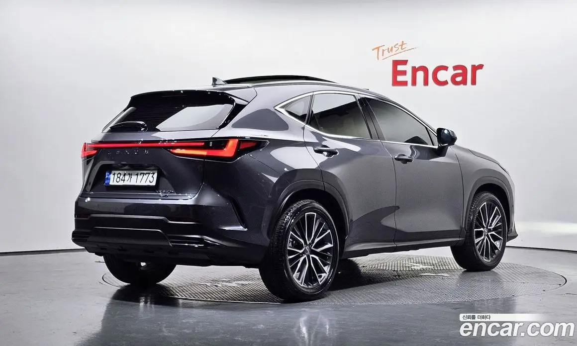 Lexus NX 2023 2.5 автомат (гидро), фото 2 Lexus NX 2023 2.5 автомат (гидро), фото 2