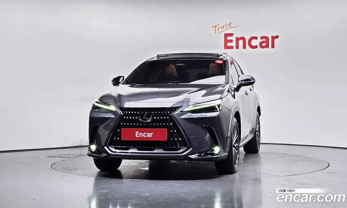 Lexus NX 2023 2.5 автомат (гидро), фото 3 Lexus NX 2023 2.5 автомат (гидро), фото 3