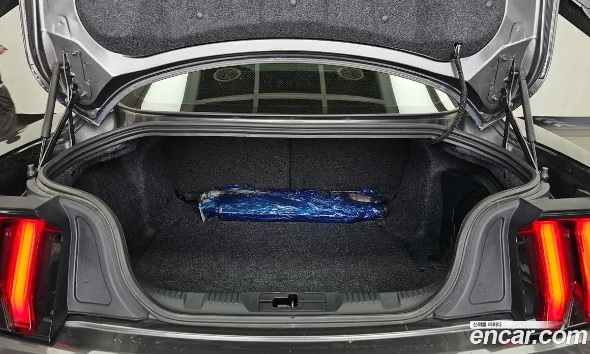 Ford Mustang 2019 5.0 автомат (гидро), фото 26 Ford Mustang 2019 5.0 автомат (гидро), фото 26