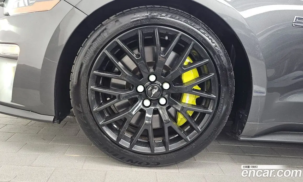 Ford Mustang 2019 5.0 автомат (гидро), фото 5 Ford Mustang 2019 5.0 автомат (гидро), фото 5