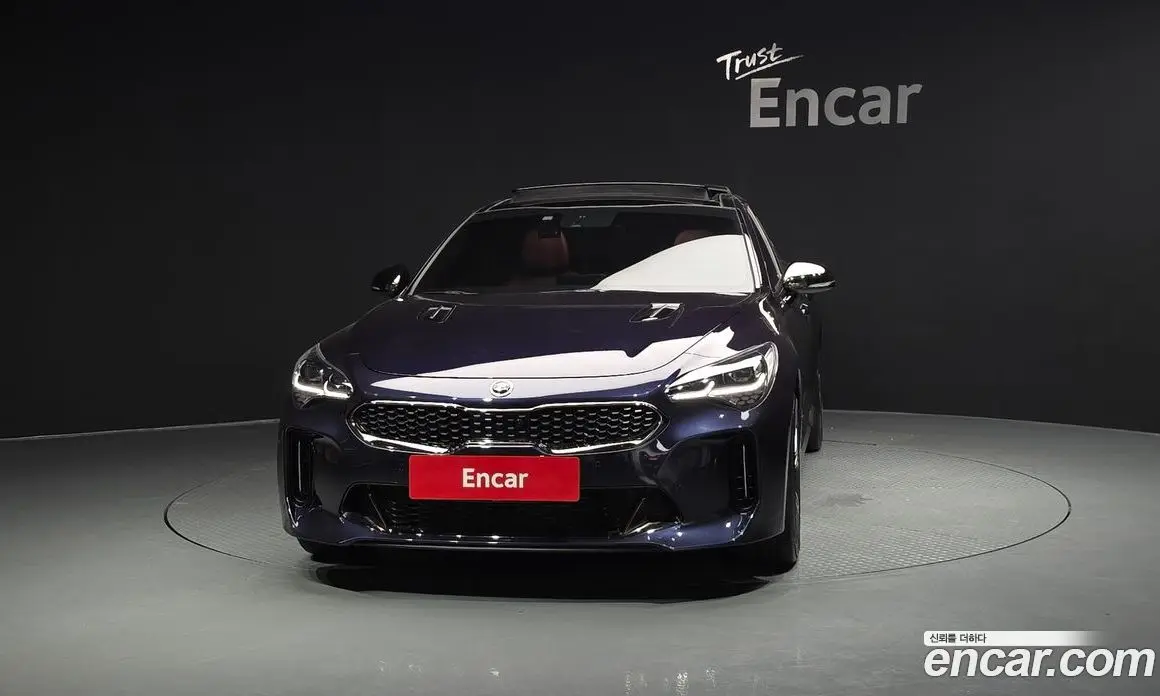 Kia Stinger 2019 2.0 автомат (гидро), фото 3 Kia Stinger 2019 2.0 автомат (гидро), фото 3