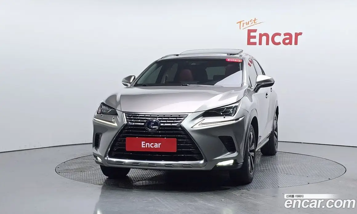 Lexus NX 2019 2.5 автомат (гидро), фото 2 Lexus NX 2019 2.5 автомат (гидро), фото 2