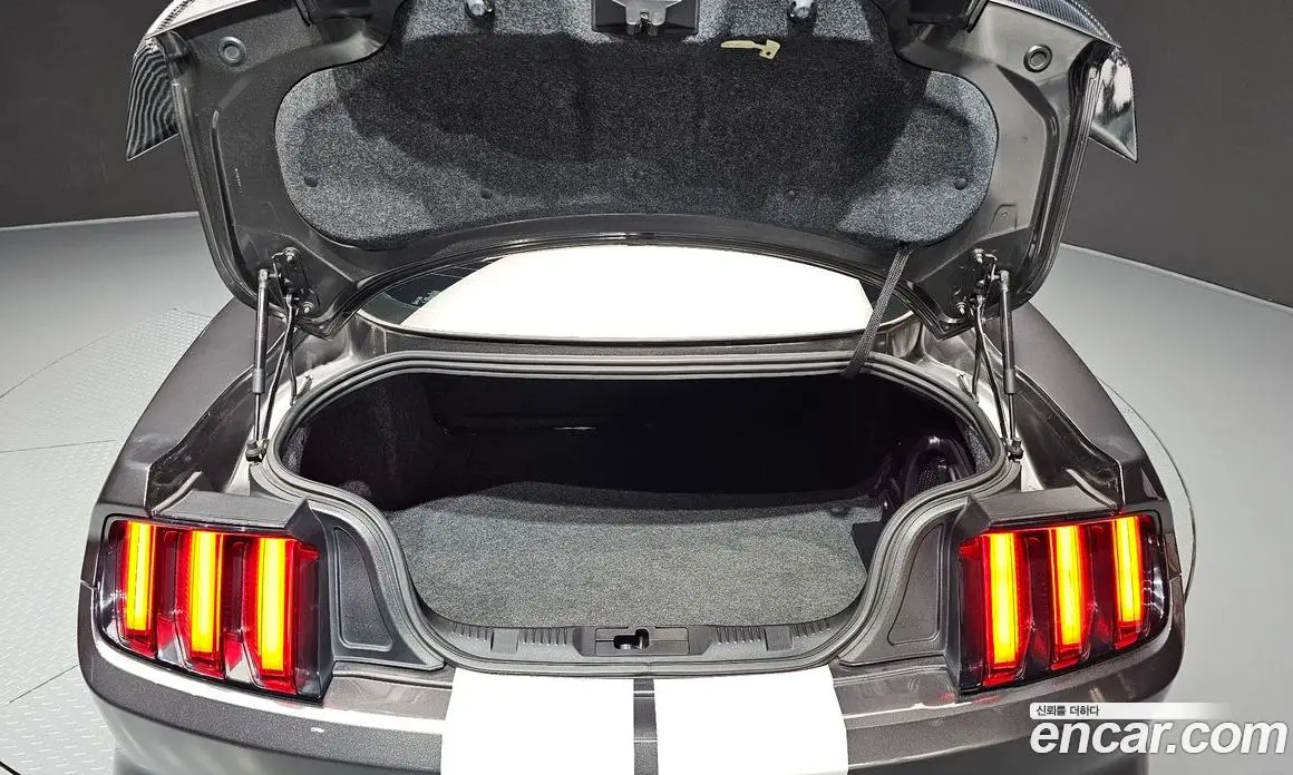 Ford Mustang 2017 5.0 автомат (гидро), фото 26 Ford Mustang 2017 5.0 автомат (гидро), фото 26