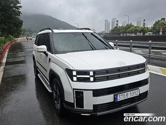 Hyundai Santa Fe, 2024, 37 440 км