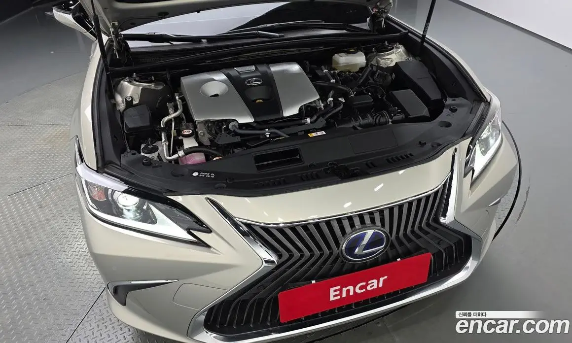 Lexus ES 2020 2.5 автомат (гидро), фото 5 Lexus ES 2020 2.5 автомат (гидро), фото 5