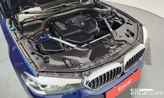 BMW 5 серия 2018 2.0 автомат (гидро), миниатюра 6