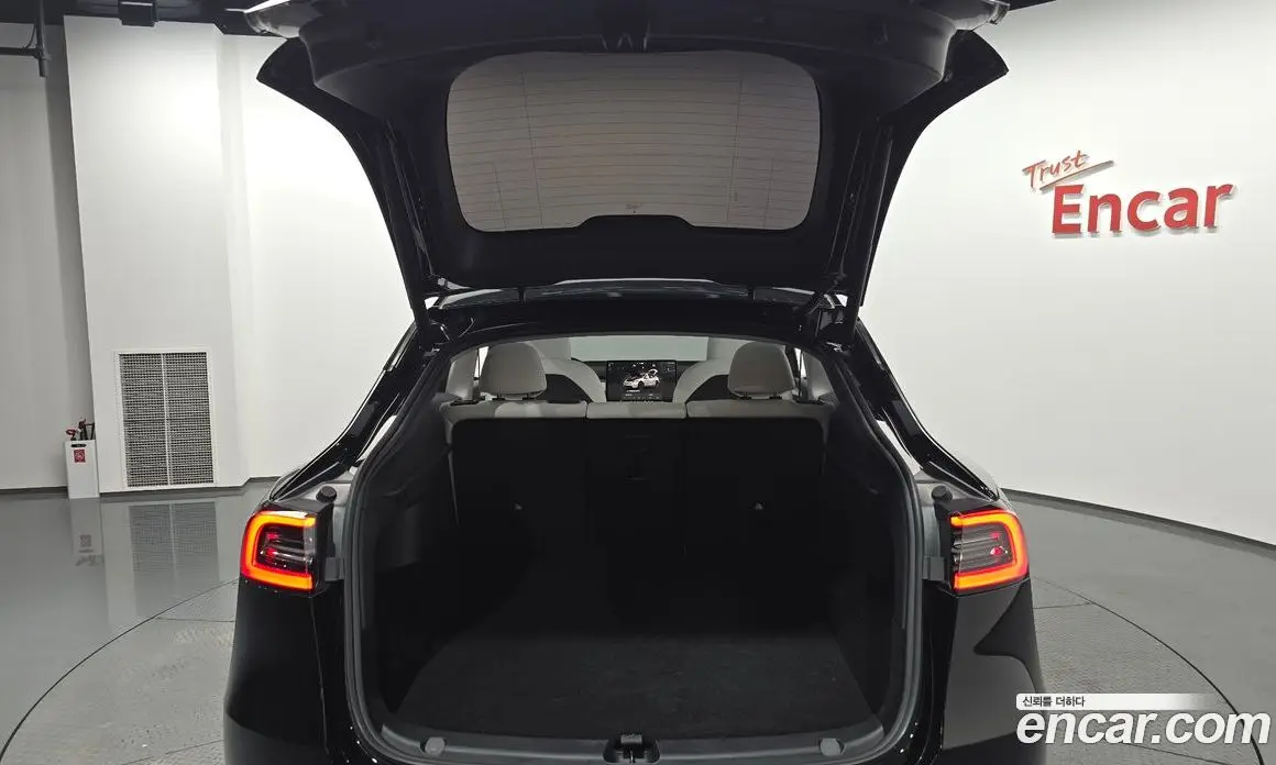 Tesla Model Y 2024 0.2 автомат (гидро), фото 25 Tesla Model Y 2024 0.2 автомат (гидро), фото 25