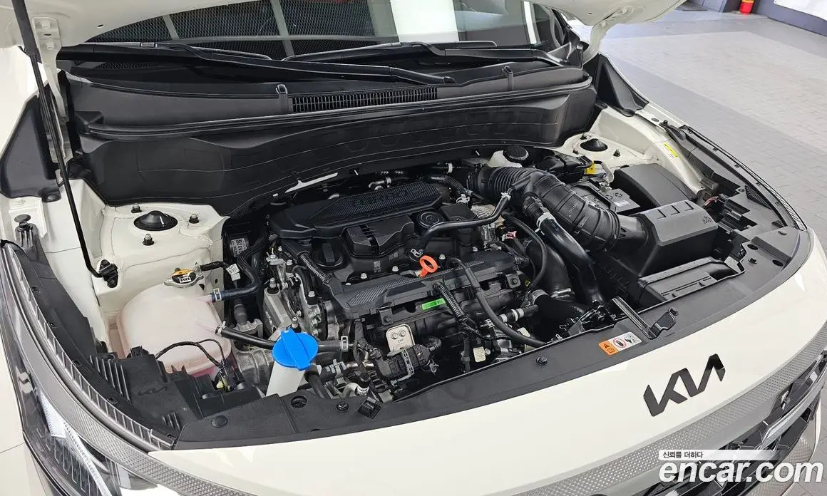 Kia Seltos 2025 1.6 автомат (гидро), фото 6 Kia Seltos 2025 1.6 автомат (гидро), фото 6