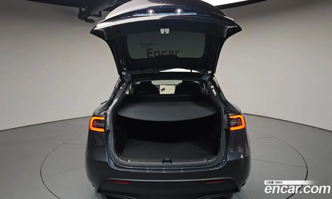 Tesla Model Y 2024 0.2 автомат (гидро), фото 25 Tesla Model Y 2024 0.2 автомат (гидро), фото 25