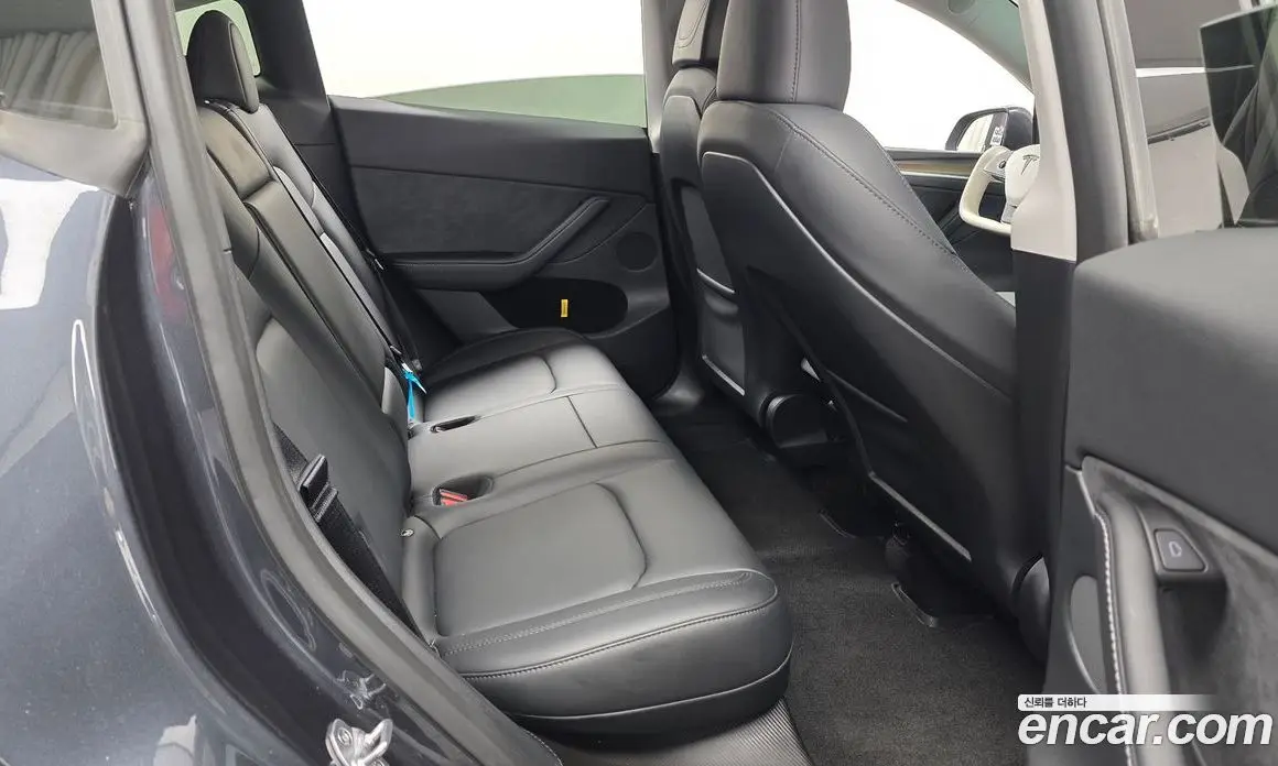 Tesla Model Y 2025 0.2 автомат (гидро), фото 11
