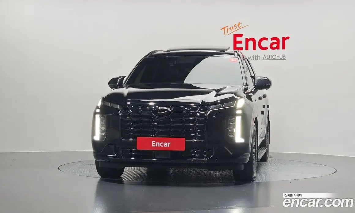 Hyundai Palisade 2024 3.8 автомат (гидро), фото 3 Hyundai Palisade 2024 3.8 автомат (гидро), фото 3