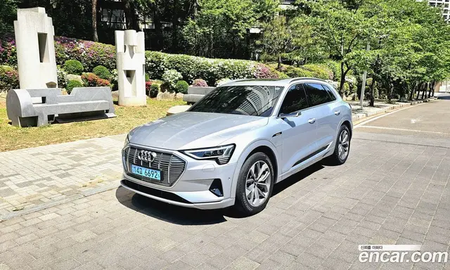Audi e-tron 2020 автомат (гидро), миниатюра 1