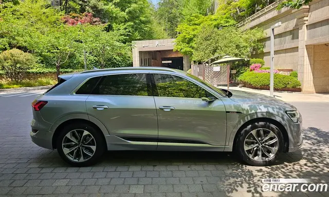 Audi e-tron 2020 автомат (гидро), миниатюра 2