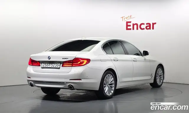 BMW 5 серия 2019 2.0 автомат (гидро), миниатюра 2 BMW 5 серия 2019 2.0 автомат (гидро), миниатюра 2