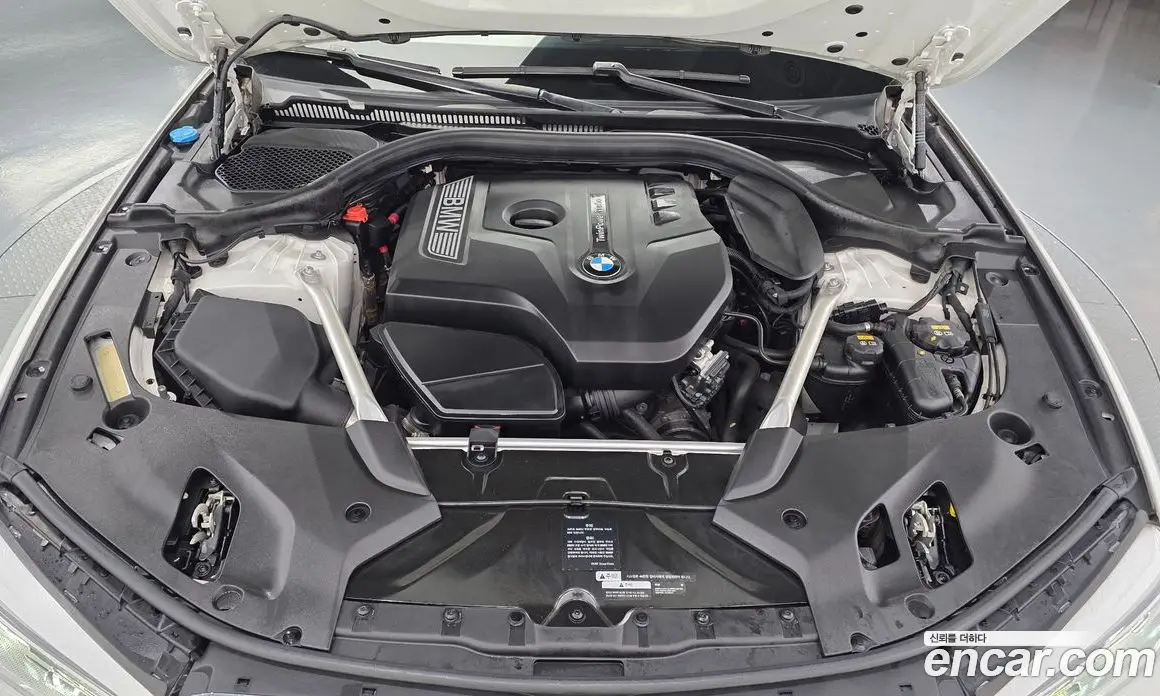 BMW 5 серия 2019 2.0 автомат (гидро), фото 6 BMW 5 серия 2019 2.0 автомат (гидро), фото 6