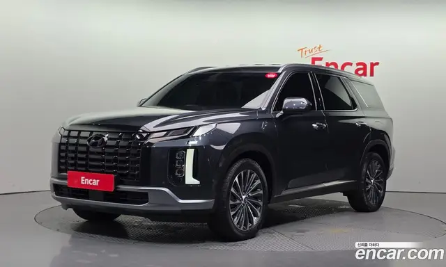 Hyundai Palisade, 2023, 24 987 км