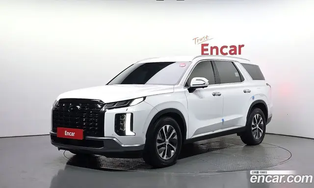 Hyundai Palisade, 2023, 31 361 км