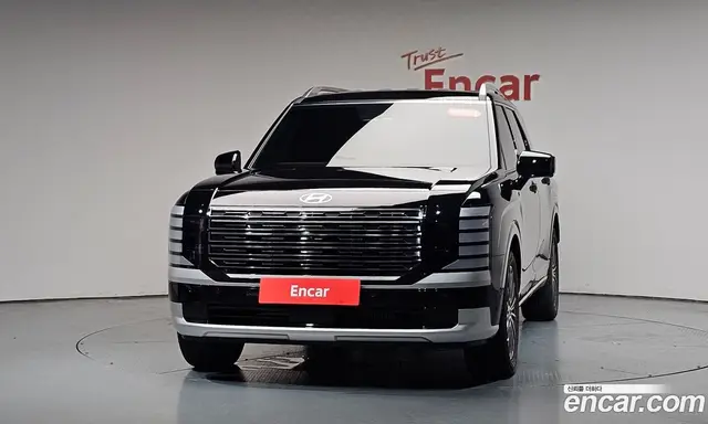 Hyundai Palisade 2025 2.5 автомат (гидро), миниатюра 2 Hyundai Palisade 2025 2.5 автомат (гидро), миниатюра 2