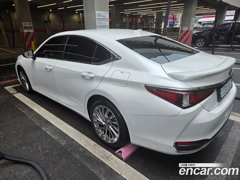 Lexus ES 2023 2.5 автомат (вариатор), фото 4 Lexus ES 2023 2.5 автомат (вариатор), фото 4